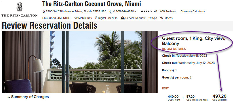 RITZ - First Class Flyer